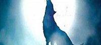 Guardian Wolf